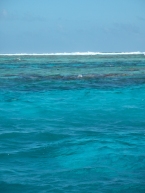 Barrière de corail en vue